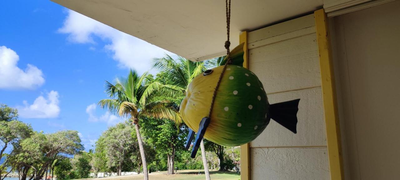 Studio Vue Mer Guadeloupe 상트 안느 외부 사진